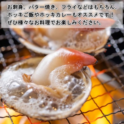 北海道産活ホッキ貝 15個(殻付き)