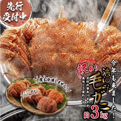 <3月10日までの受付> 訳あり 北海道産浜ゆで毛ガニ 約3kg