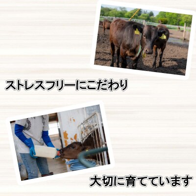 北海道産A5黒毛和牛 桜黒和牛すき焼き・しゃぶしゃぶ用ウデ&バラ肉・モモ肉セット400g
