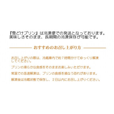 北の大地の『雪どけプリン』 6個入り