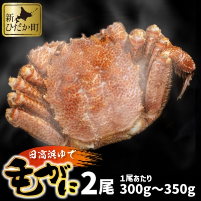 北海道産浜ゆで毛ガニ 300g～350g×2尾