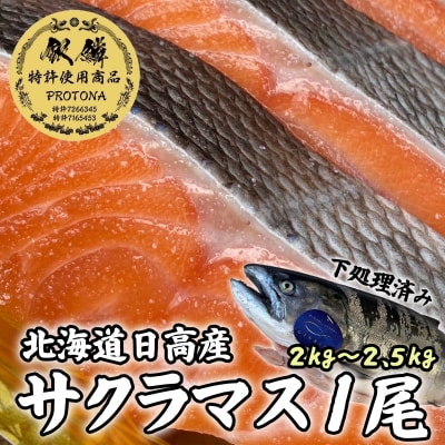 北海道産桜ます 1尾(約2～2.5kg)下処理済み