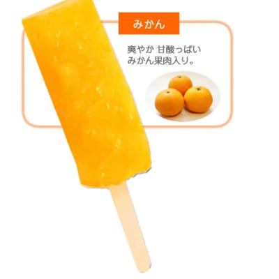 くずバー 10個入 夏季限定 アイス キャンディー 北海道・新ひだか町からお届けします