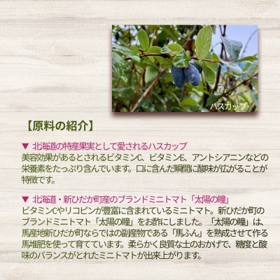 北海道産ハスカップ/トマト&レモン発酵酢 SUNOMO希釈タイプ計750ml(375ml×2本)