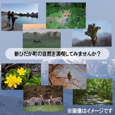 北海道新ひだか町 体験ツアー 5,000円分 クーポン