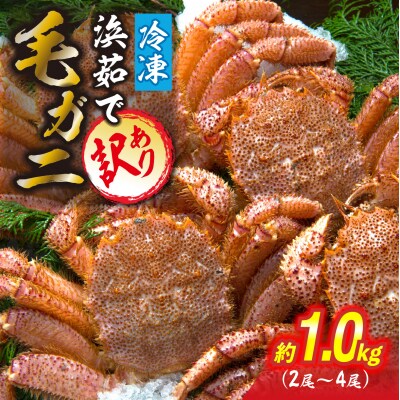 訳あり北海道産毛ガニ 冷凍ボイル 約 1kg