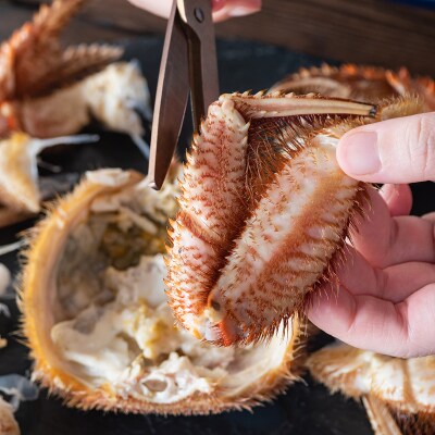 訳あり北海道産毛ガニ 冷凍ボイル 約 1kg