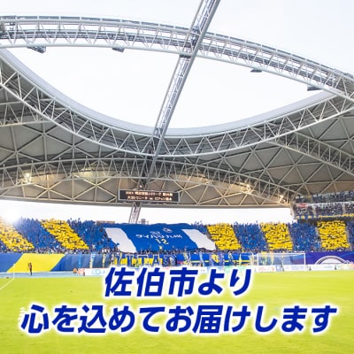 大分トリニータ 公式 マスコット ぬいぐるみ ニータン (1個・高さ約20cm)