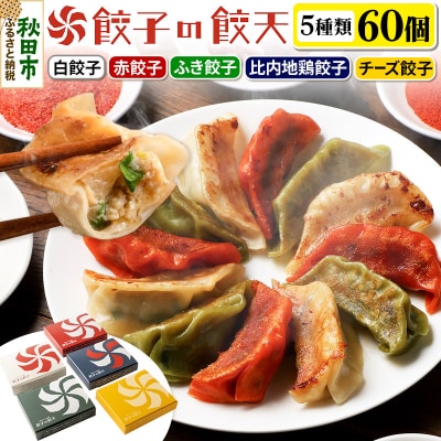 【5種餃子60個詰合せ】餃子の餃天|15_ggt-036001
