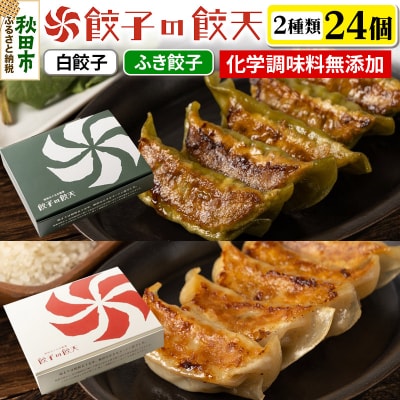 【至福の白餃子・新緑のふき餃子24個詰合せ】餃子の餃天|15_ggt-062401