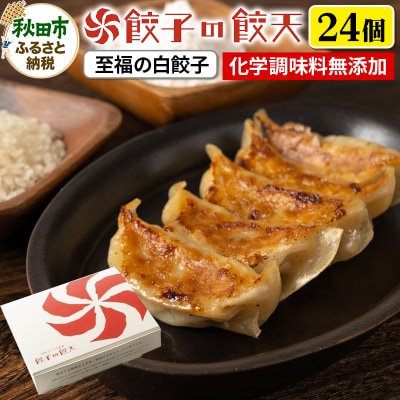 【至福の白餃子24個詰合せ】餃子の餃天|15_ggt-082401