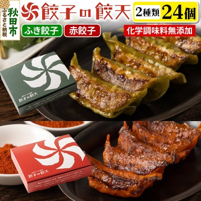 【情熱の赤餃子・新緑のふき餃子24個詰合せ】餃子の餃天|15_ggt-092401
