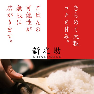 2025年6月中旬より発送【定期便】新潟県上越・妙高産新之助2kg×2回(計4kg)