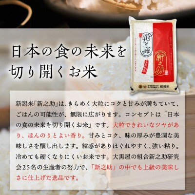 2025年6月中旬より発送【定期便】新潟県上越・妙高産新之助2kg×2回(計4kg)