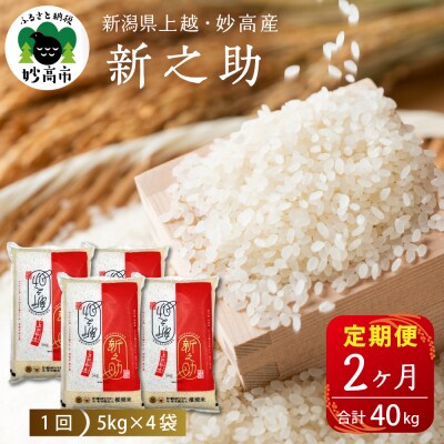 2025年7月上旬より発送【定期便】新潟県上越・妙高産新之助20kg×2回(計40kg)