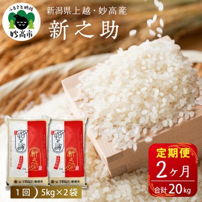 2025年7月下旬より発送【定期便】新潟県上越・妙高産新之助10kg×2回(計20kg)