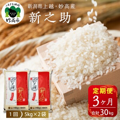 2025年6月下旬より発送【定期便】新潟県上越・妙高産新之助10kg×3回(計30kg)