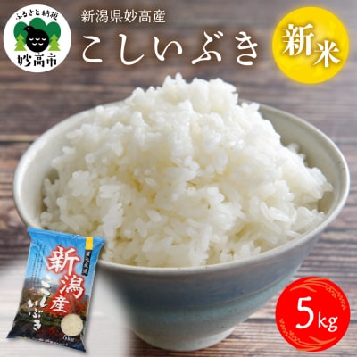 【2025年12月下旬発送】令和7年産 新潟県妙高産こしいぶき5kg