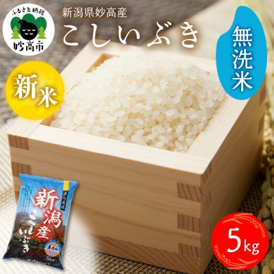 【2025年12月下旬発送】令和7年産 新潟県妙高産こしいぶき5kg無洗米