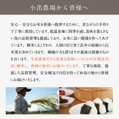 【2025年11月中旬発送】令和7年産 新潟県妙高産こしひかり星降る里10kg