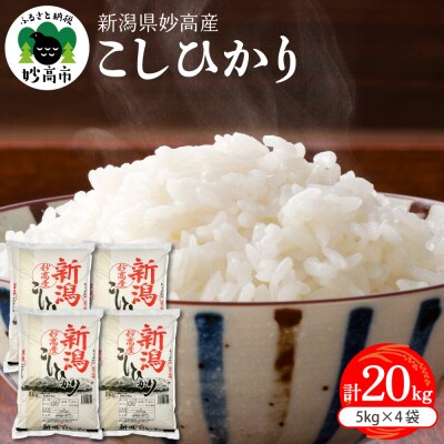 【2026年1月下旬発送】令和7年産 新潟県妙高産コシヒカリ20kg