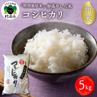 令和6年産 新潟県妙高やしろ米 コシヒカリ 5kg
