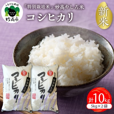 【2024年11月下旬発送】令和6年産新潟県 妙高やしろ米 コシヒカリ10kg(5㎏&times;2袋)