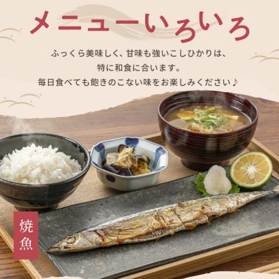 2026年1月上旬発送 新潟県妙高産コシヒカリ5kg