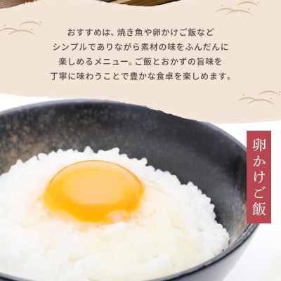 2026年2月中旬発送 新潟県妙高産コシヒカリ5kg