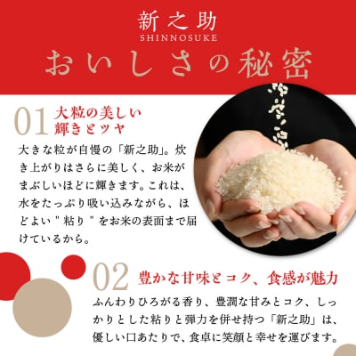 【2025年4月中旬発送】令和6年産 新潟県上越妙高産新之助10kg