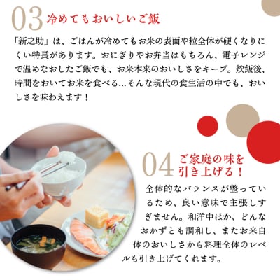 【2025年4月中旬発送】令和6年産 新潟県上越妙高産新之助10kg