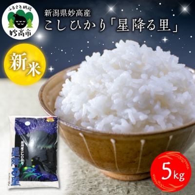 【2025年11月上旬発送】令和7年産 新潟県妙高産こしひかり「星降る里」5kg