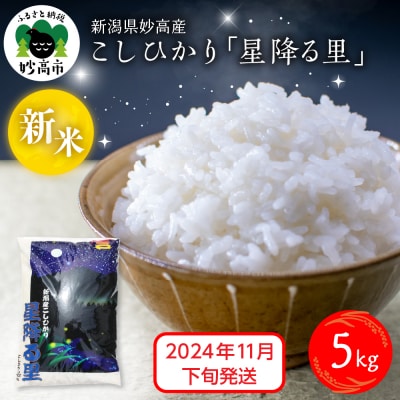 【2024年11月下旬発送】令和6年産 新潟県妙高産こしひかり「星降る里」5kg