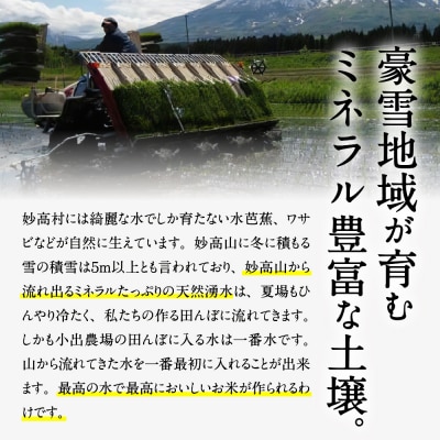 【2024年11月下旬発送】令和6年産 新潟県妙高産こしひかり「星降る里」5kg
