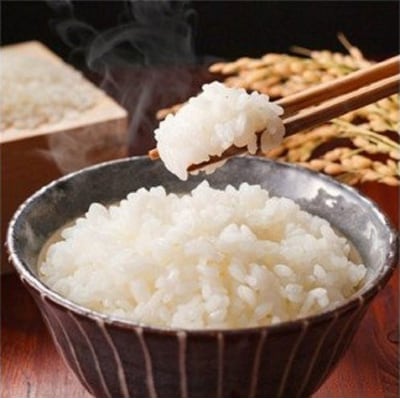 【2025年12月下旬発送】令和7年産 新潟県妙高産こしひかり「星降る里」5kg 無洗米