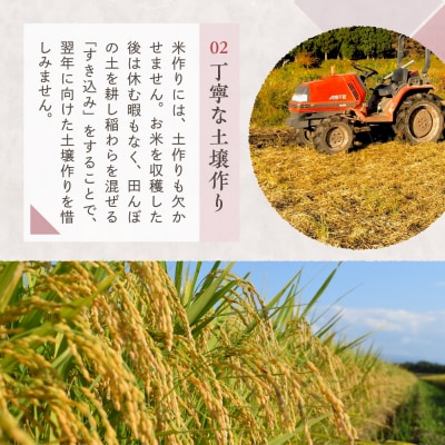 【2026年5月中旬発送】令和7年産 新潟県妙高産コシヒカリ20kg