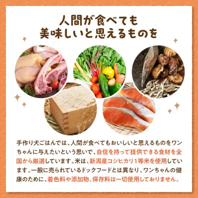 ワンちゃん用　鶏肉のおじや　150g×3袋入