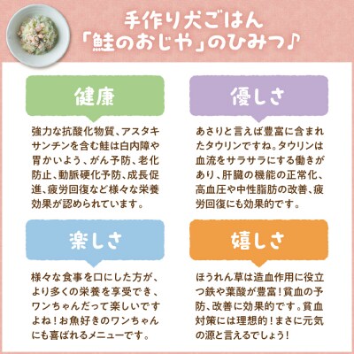 ワンちゃん用　鮭のおじや　150g×3袋入
