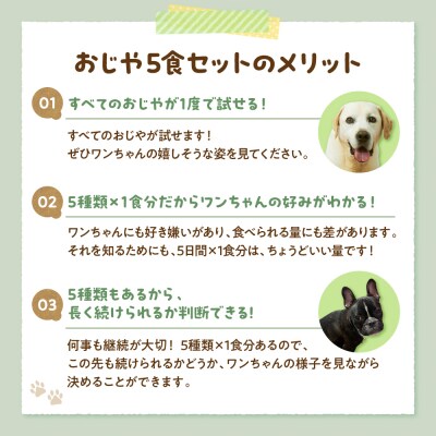 ワンちゃん用おじや5食セット　【150g×5袋】