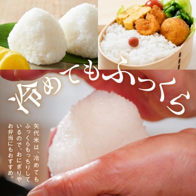 令和7年産服部米蔵の妙高矢代産コシヒカリ5kg