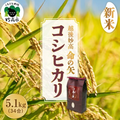 【先行受付】令和8年産 越後妙高命の矢 コシヒカリ 5.1kg