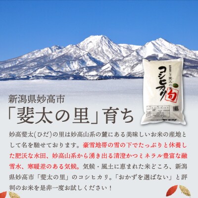 【2026年1月中旬発送】【令和7年産米】新潟県妙高産斐太の里コシヒカリ旬2kg