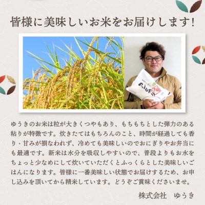 【2026年1月中旬発送】【令和7年産米】新潟県妙高産斐太の里コシヒカリ旬2kg