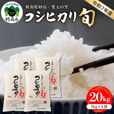 【2026年4月中旬発送】【令和7年産米】新潟県妙高産斐太の里コシヒカリ旬20kg(5kg×4袋)
