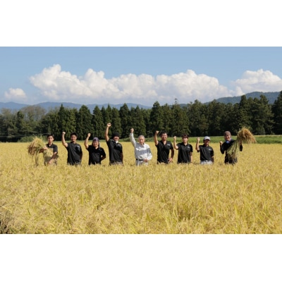 【令和7年産】妙高産こしひかり特別栽培米10kg