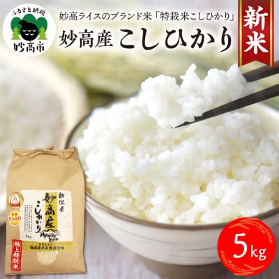 【令和7年産】妙高産こしひかり特別栽培米5kg