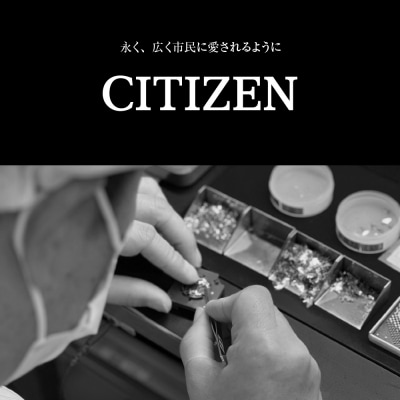 【CITIZEN】アテッサCC4055-65E