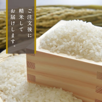 令和6年産　新潟県妙高産つきあかり5kg