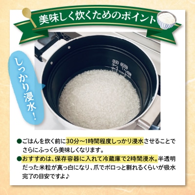 令和7年産　有機肥料を使用したミネラル米肝太くん家のコシヒカリ5kg