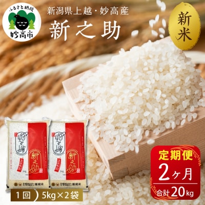 2025N12{蔭yցzߘa7NYVzEYVV10kg×2(v20kg)